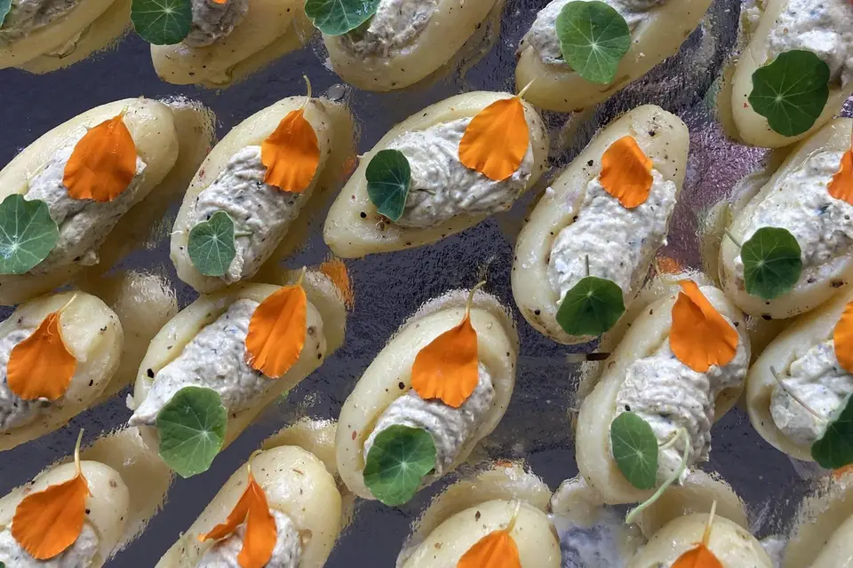 L’Univers de Noémie — photo 8