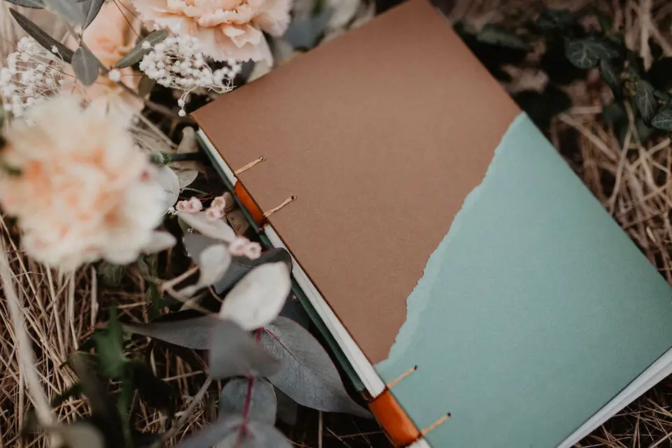 Amour Cornélys — photo 7