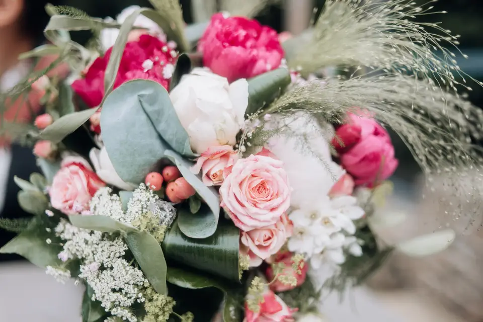 Anais Chapelliere — photo 3