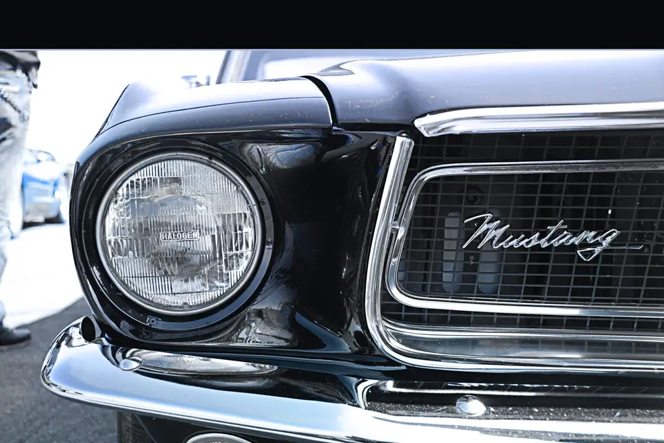 Mustang de Légende — photo 7