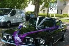 Mustang de Légende — photo 2