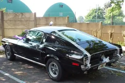 Mustang de Légende — photo 3