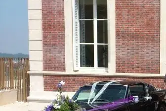 Mustang de Légende — photo 4