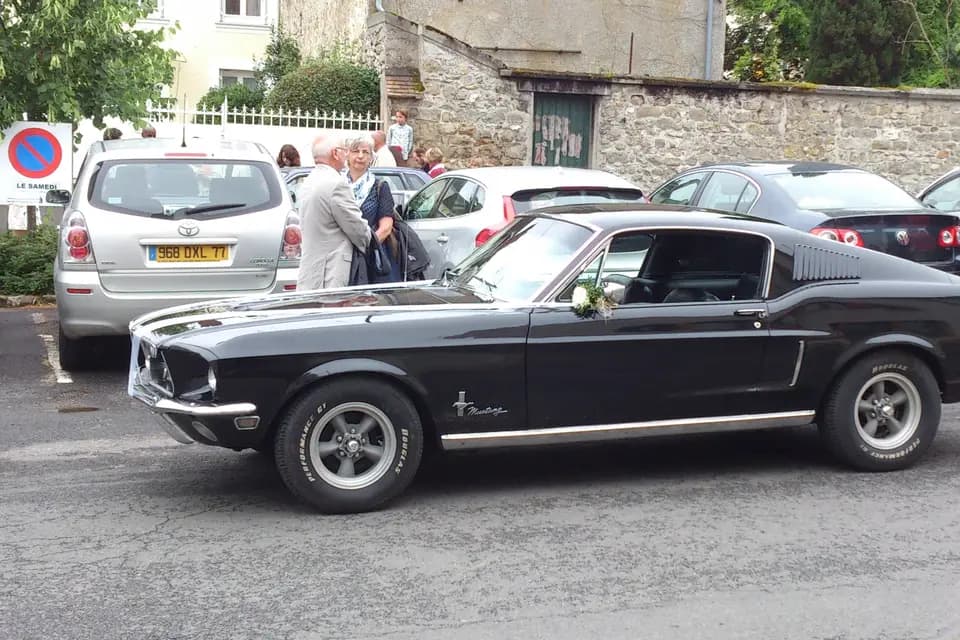 Mustang de Légende — photo 5