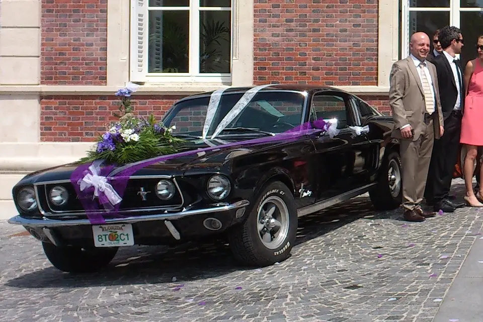 Mustang de Légende — photo 6