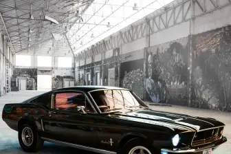 Mustang de Légende — photo 1