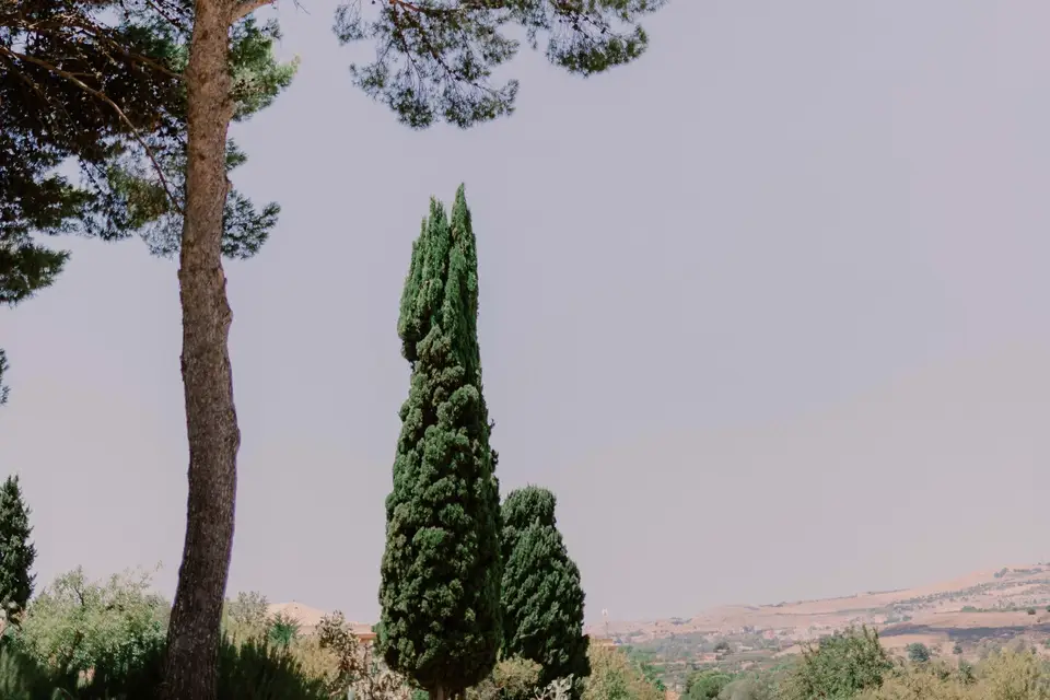 Hassan Kardous — photo 5