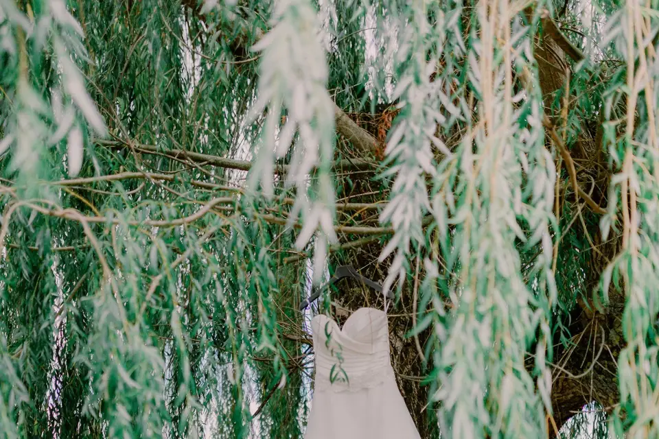 Hassan Kardous — photo 6