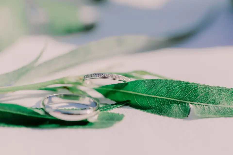 Hassan Kardous — photo 7