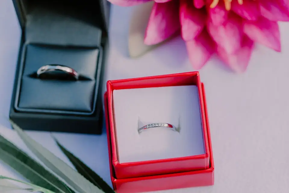 Hassan Kardous — photo 8