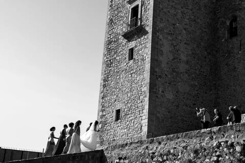 Hassan Kardous — photo 2