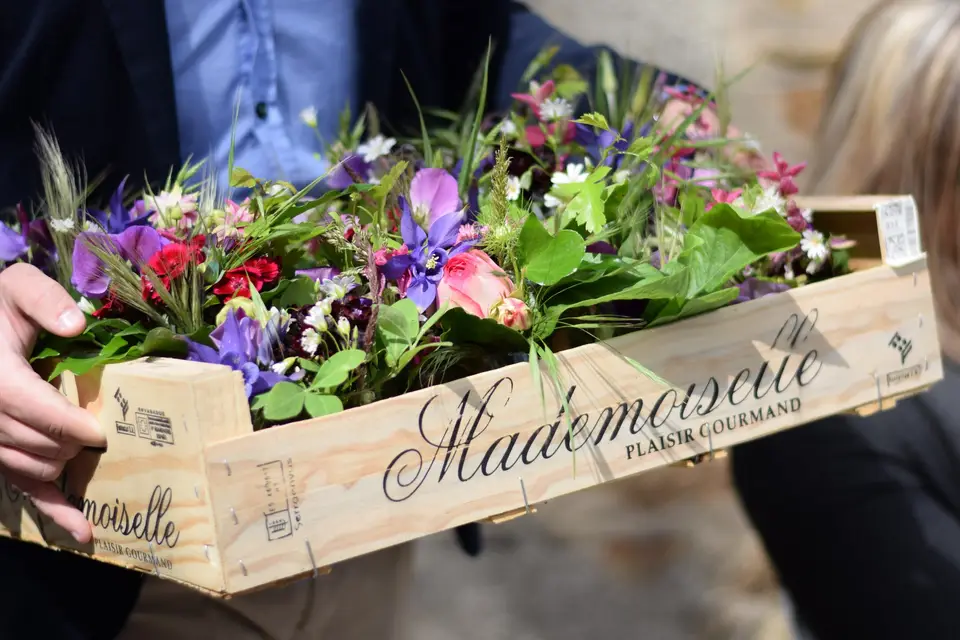 Le Temps des Cueillettes — photo 1