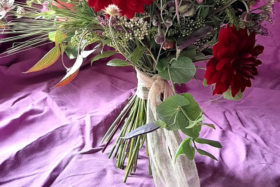 Le Temps des Cueillettes — photo 2