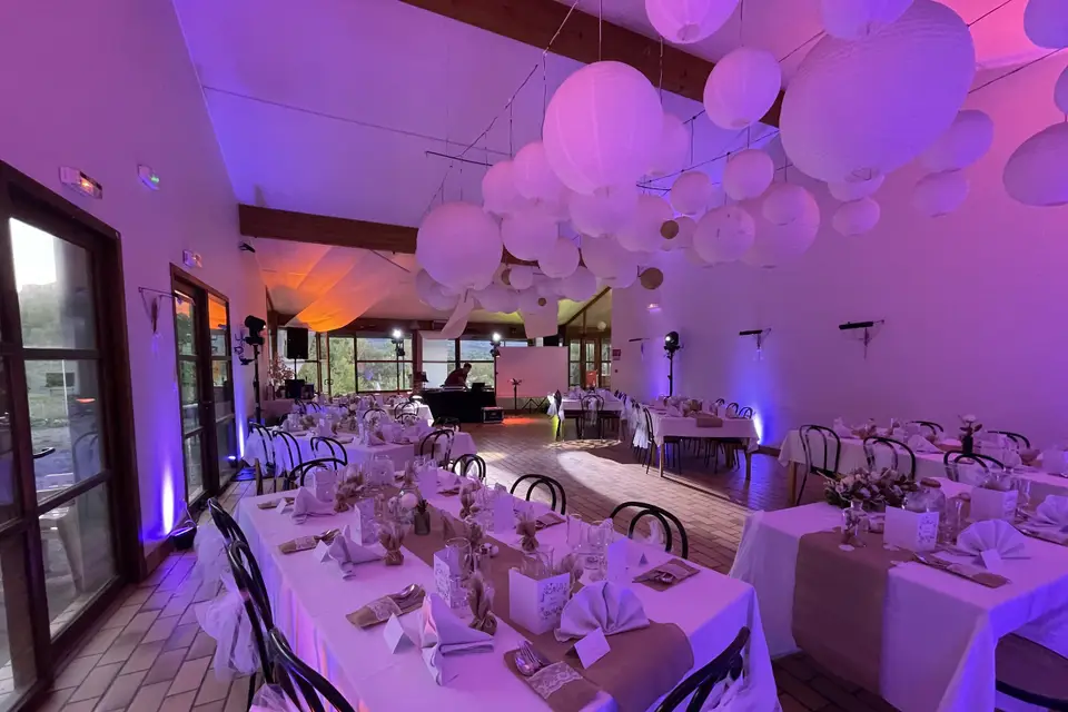 Sound Dance — photo 5