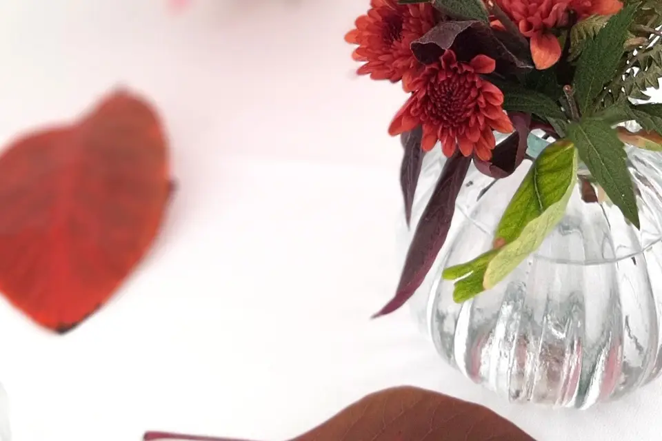 Le Temps des Cueillettes — photo 3