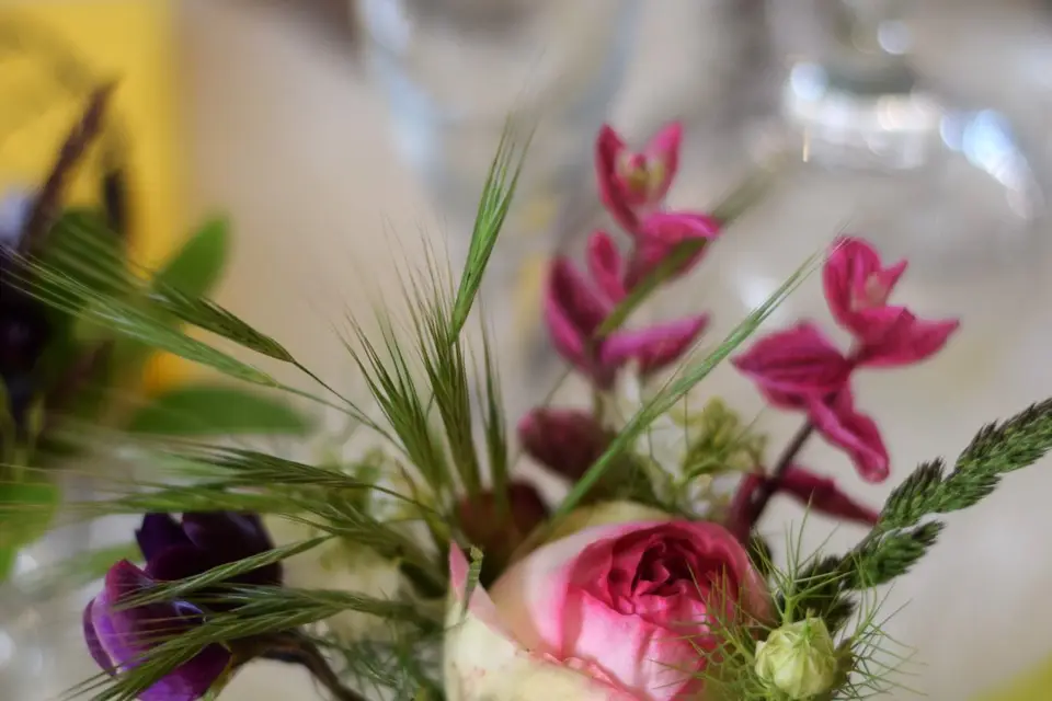 Le Temps des Cueillettes — photo 5