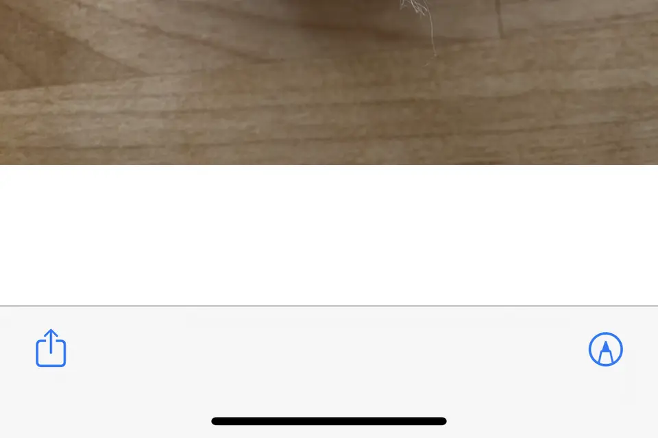 Nous Savons — photo 5