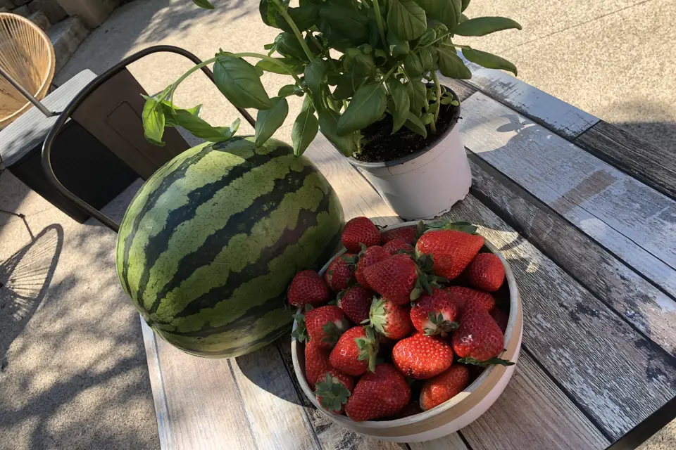 Les Mas du Grand Vallon — photo 2