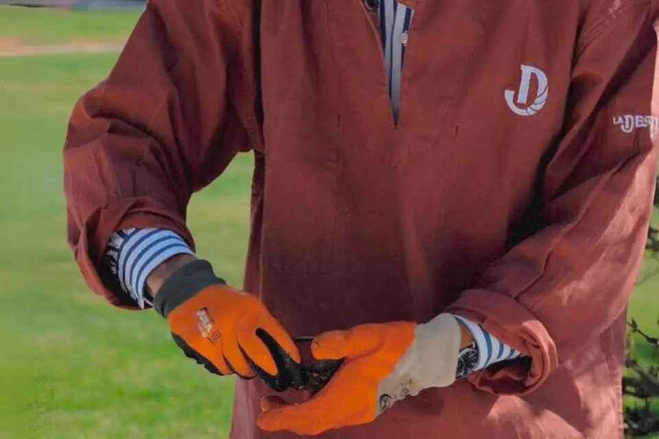 Maison La Destriée — photo 3