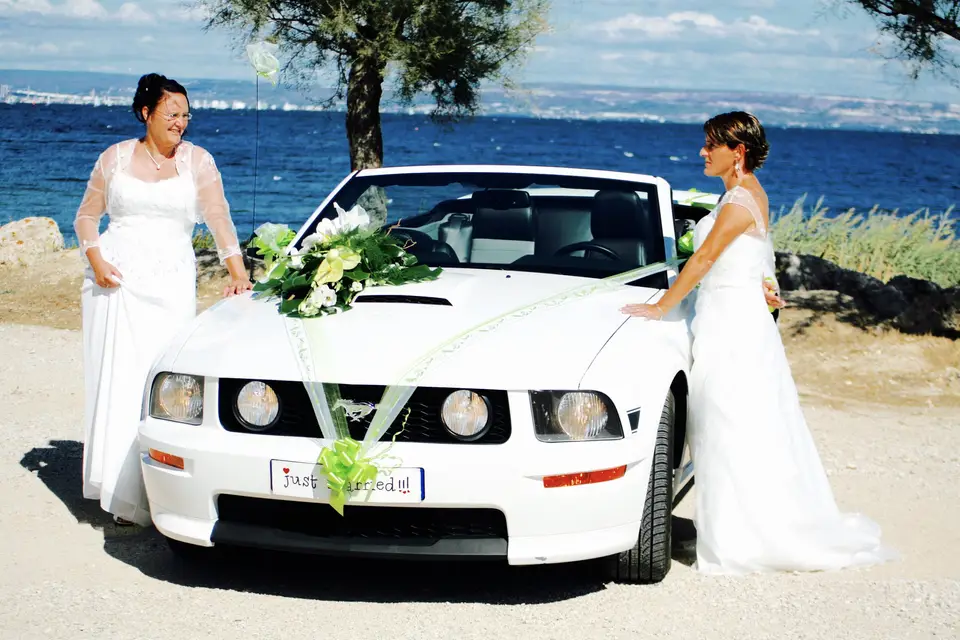 Provence Transport — photo 6