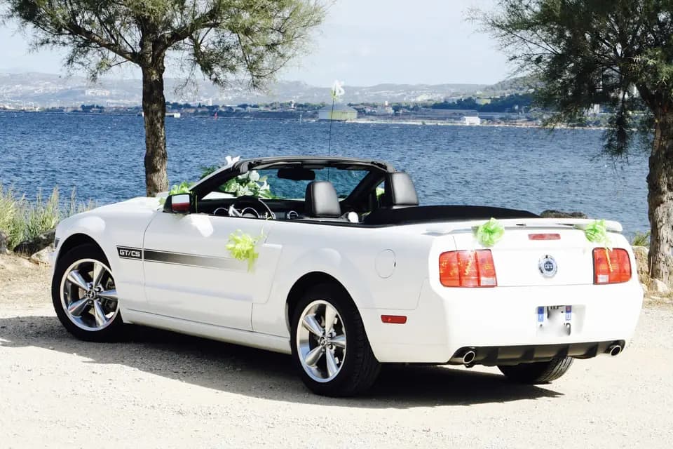 Provence Transport — photo 8