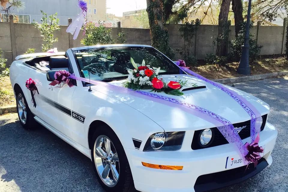 Provence Transport — photo 2