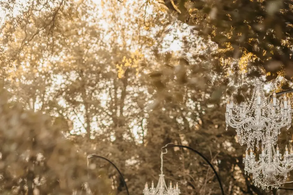 Domaine de la Tour - Montpellier — photo 8