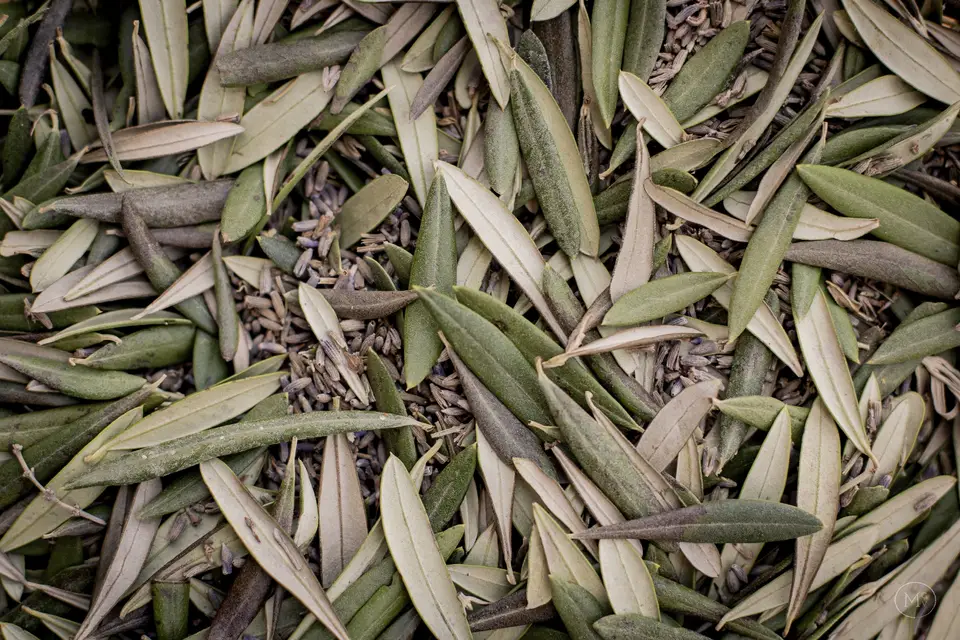 Kath'Events 83 — photo 2