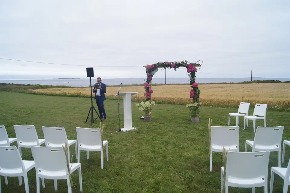 Cocktail Music Animations — photo 8