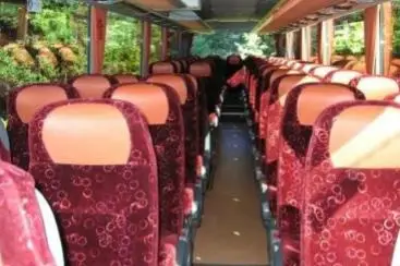 Transdev — photo 4