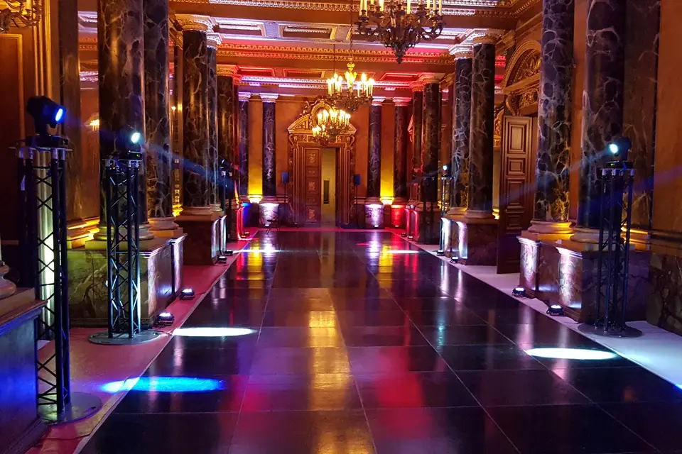 Showtail Light — photo 8