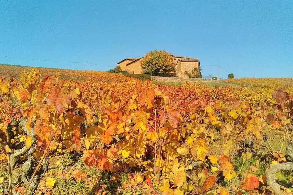 Domaine des Sources — photo 4