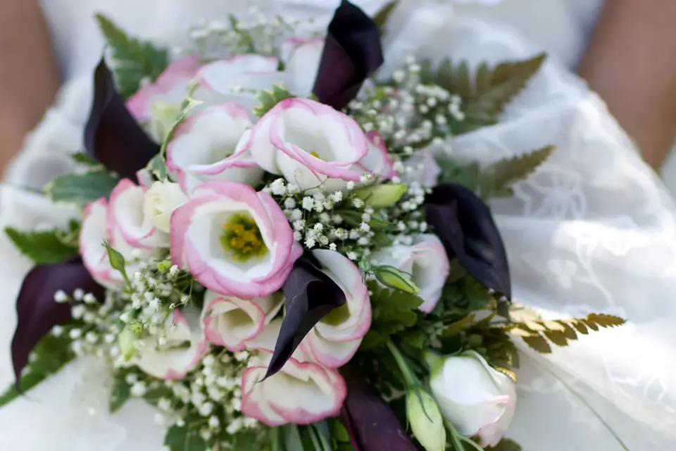 Rosa Wallois Photographe de Mariage — photo 1