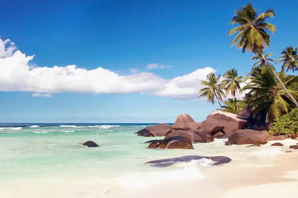 Asset Voyages — photo 4