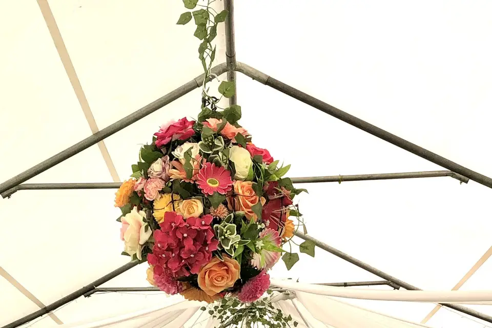 Romances Intemporelles — photo 2