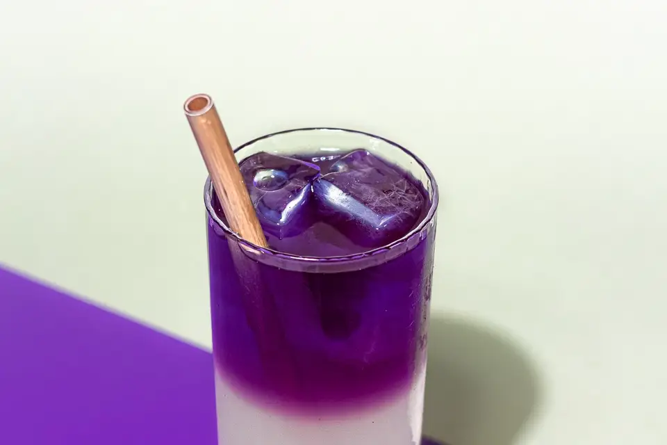 Le Loup Blanc — photo 2