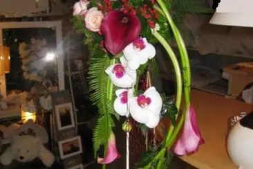 Le Perce Neige — photo 3