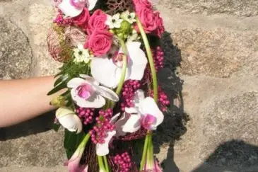 Le Perce Neige — photo 6