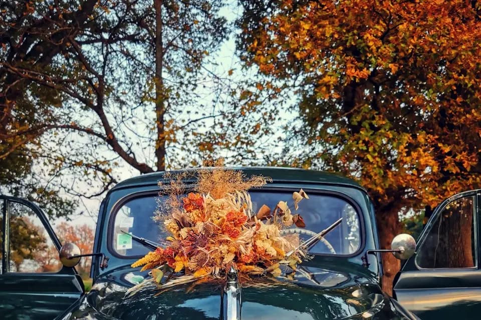 Ma Blonde — photo 4