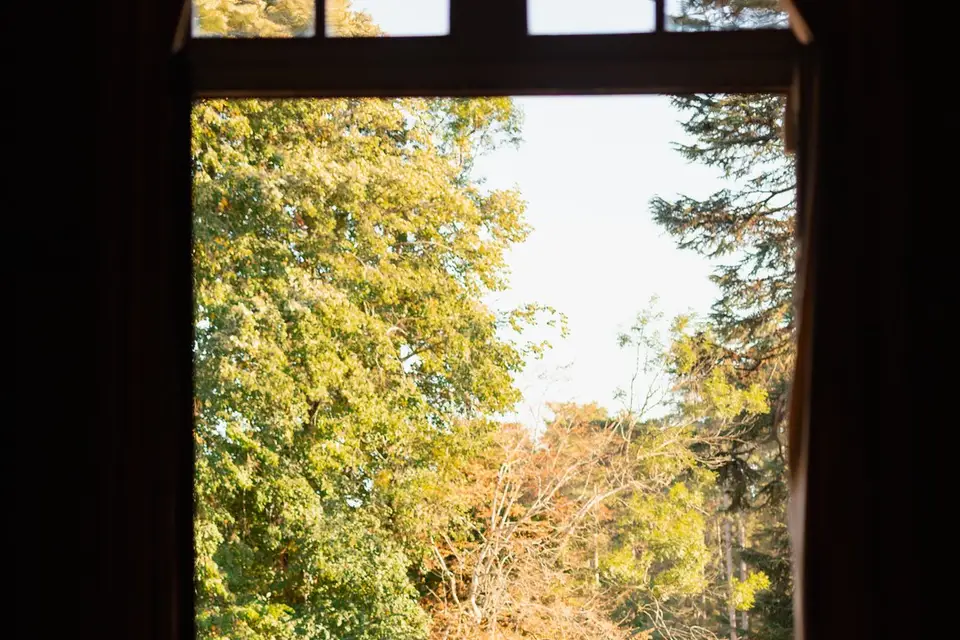 Château de Rossignol — photo 2