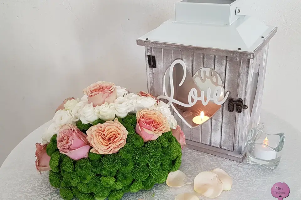 Miss Techno Décor Moi — photo 2