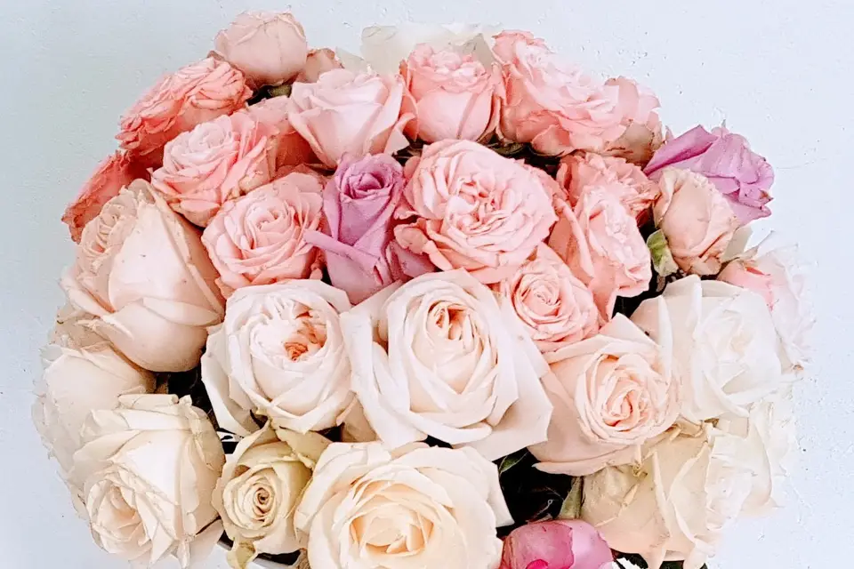 Miss Techno Décor Moi — photo 5