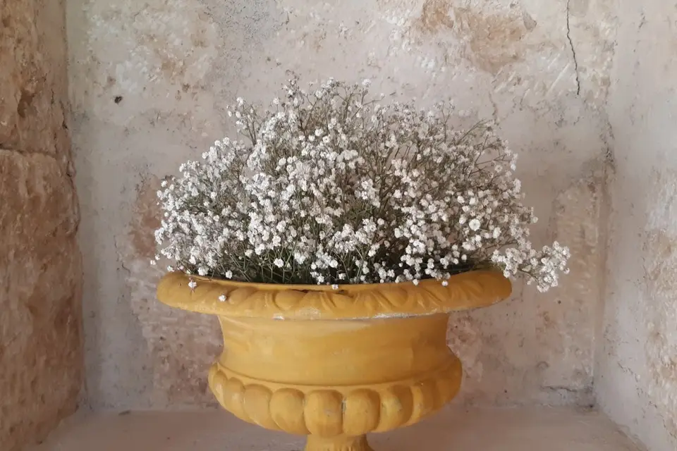 Château de Rossignol — photo 7