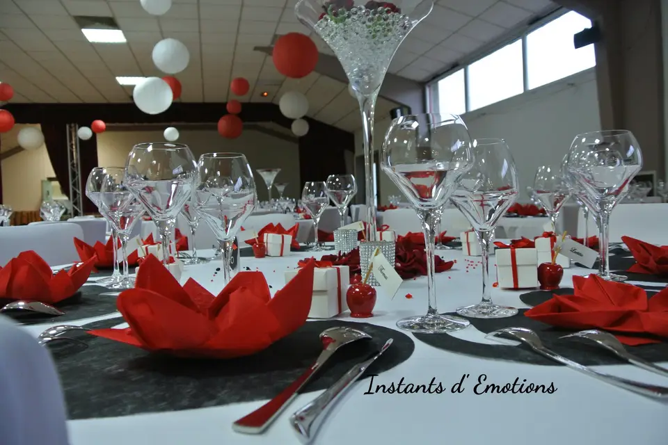 Instants d'Emotions — photo 8