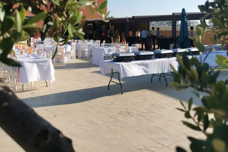 Mas de la Secade — photo 8