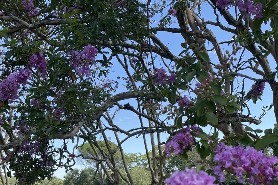 Domaine de Lahire — photo 2