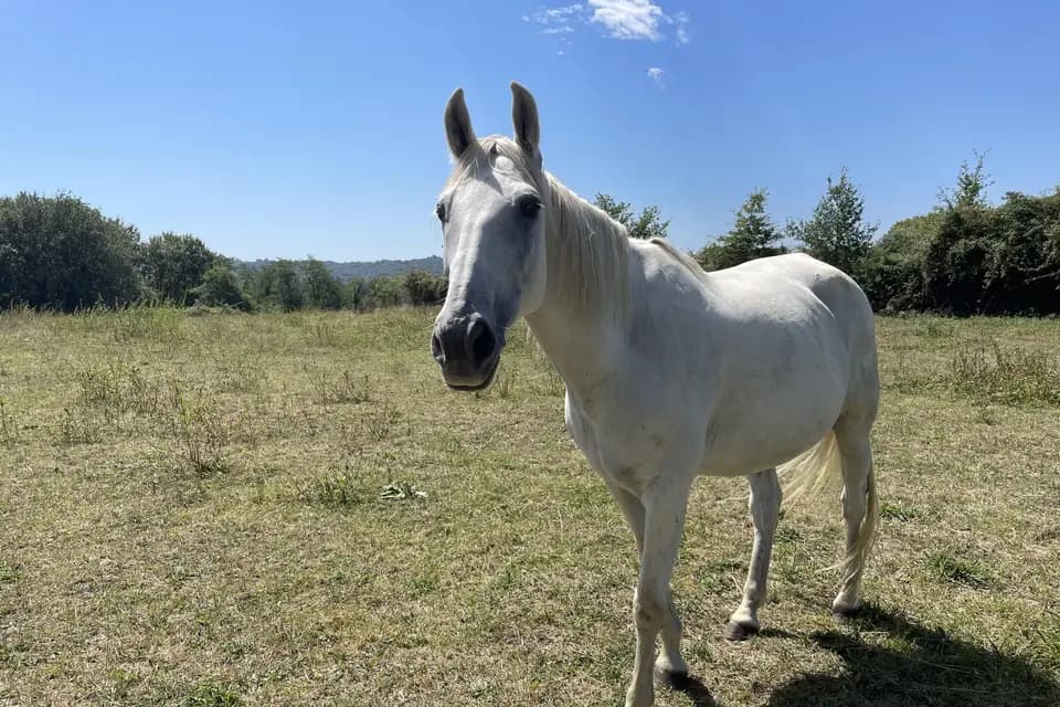 Domaine de Lahire — photo 6