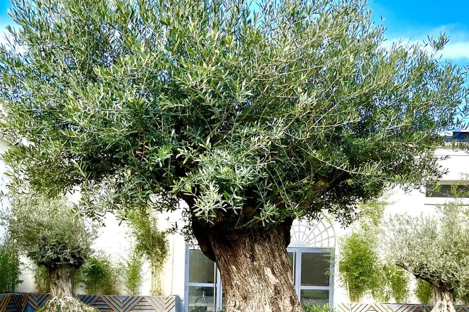 Les Gentleman de L'évènementiel — photo 2