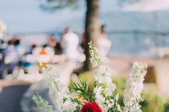 Avec des Fleurs — photo 4