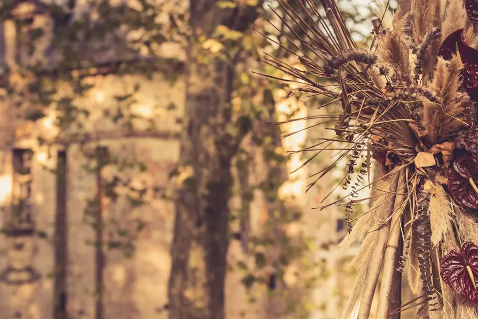 Entre vous et Yo — photo 2